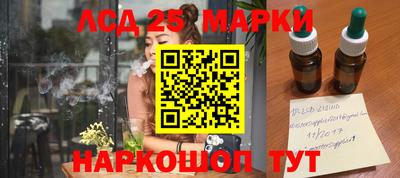 сатива Будённовск