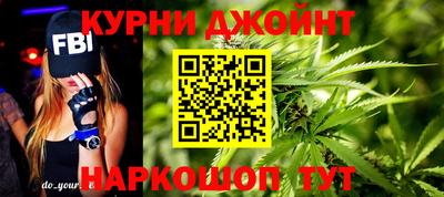 сатива Будённовск