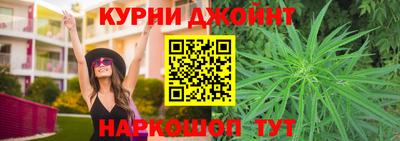 сатива Будённовск