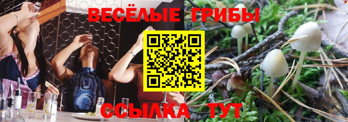 Лабинск  Галлюциногенные грибы Psilocybe  Вход с VPN 